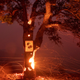 A wildfire burns outside Clearlake Oaks, California on August 5th, 2018.